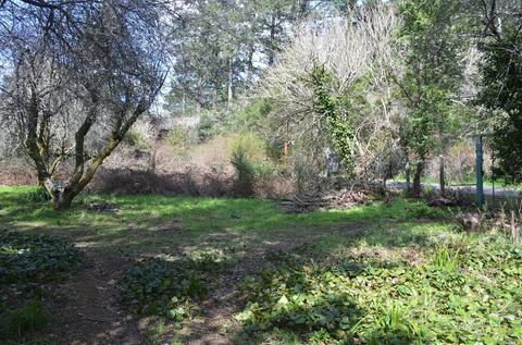 151 Arroyo Rd, Lagunitas, CA 94938 photo 6