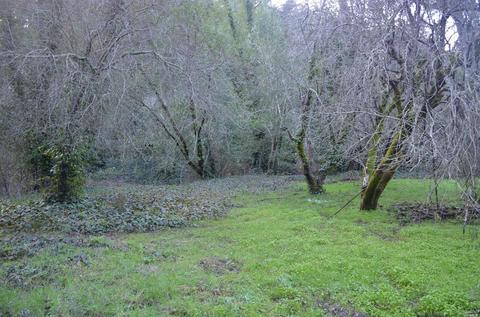 151 Arroyo Rd, Lagunitas, CA 94938 photo 18
