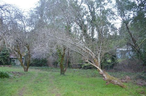 151 Arroyo Rd, Lagunitas, CA 94938 photo 10