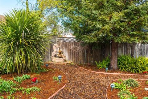 415 5th St, Petaluma, CA 94952 photo 37