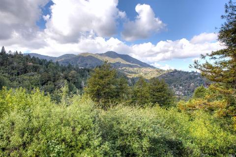44 Cypress Ave, Mill Valley, CA 94941 photo 14