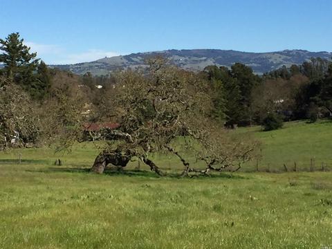 1221 Madrone Ave, Cotati, CA 94931 photo 17