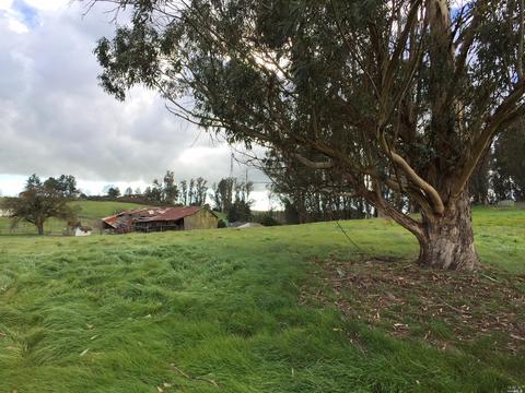 1221 Madrone Ave, Cotati, CA 94931 photo 20