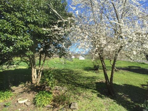 1221 Madrone Ave, Cotati, CA 94931 photo 4