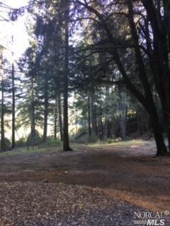 27861 Skyview Rd, Willits, CA 95490 photo 5