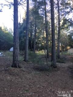 27861 Skyview Rd, Willits, CA 95490 photo 12