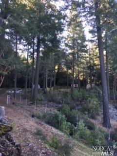 27861 Skyview Rd, Willits, CA 95490 photo 11