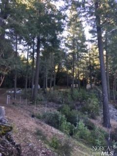 27861 Skyview Rd, Willits, CA 95490 photo 2