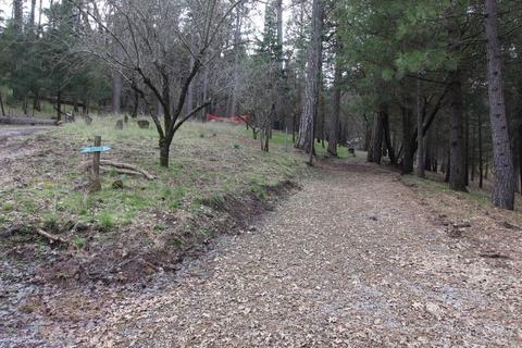 7925 High Valley Rd, Cobb, CA 95426 photo 9