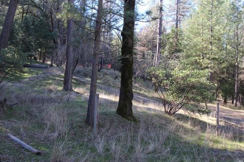 7925 High Valley Rd, Cobb, CA 95426 photo 41