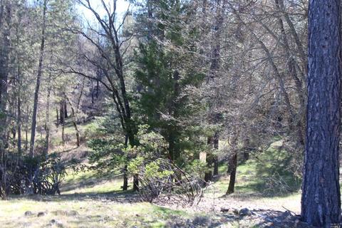7925 High Valley Rd, Cobb, CA 95426 photo 28