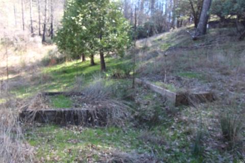 7925 High Valley Rd, Cobb, CA 95426 photo 33