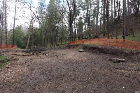 7925 High Valley Rd, Cobb, CA 95426 photo 10