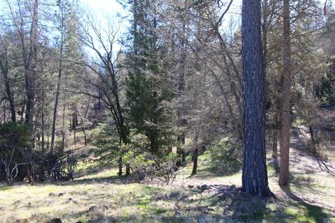 7925 High Valley Rd, Cobb, CA 95426 photo 24