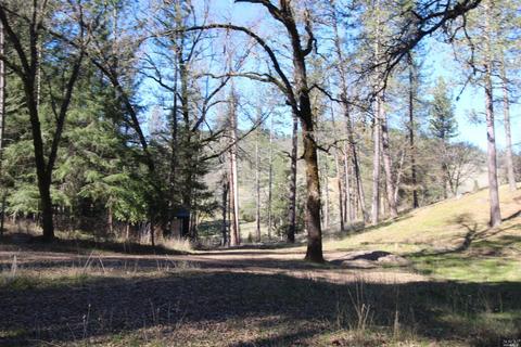 7925 High Valley Rd, Cobb, CA 95426 photo 43