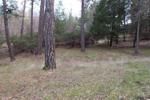 7925 High Valley Rd, Cobb, CA 95426 photo 21