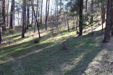 7925 High Valley Rd, Cobb, CA 95426 photo 39