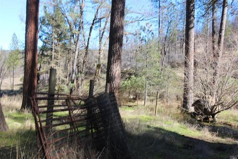 7925 High Valley Rd, Cobb, CA 95426 photo 44