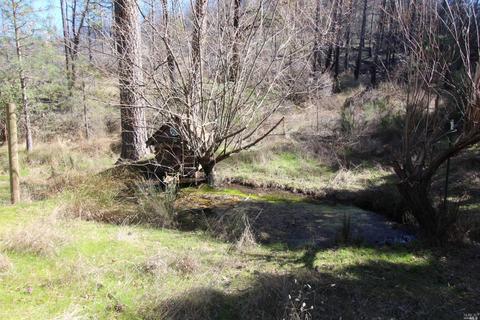 7925 High Valley Rd, Cobb, CA 95426 photo 8