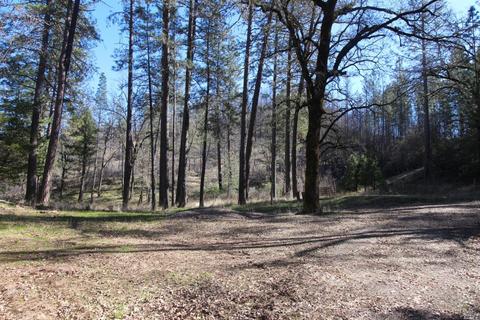 7925 High Valley Rd, Cobb, CA 95426 photo 32