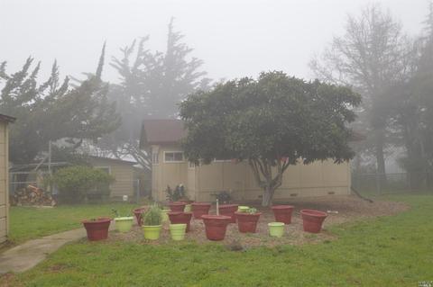 5585 Mcfarlane Rd, Sebastopol, CA 95472 photo 24