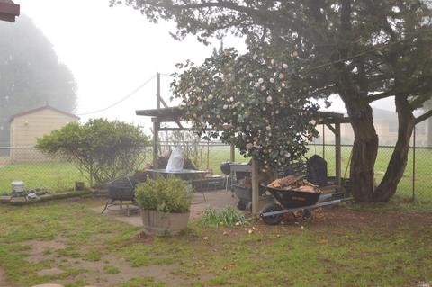 5585 Mcfarlane Rd, Sebastopol, CA 95472 photo 22