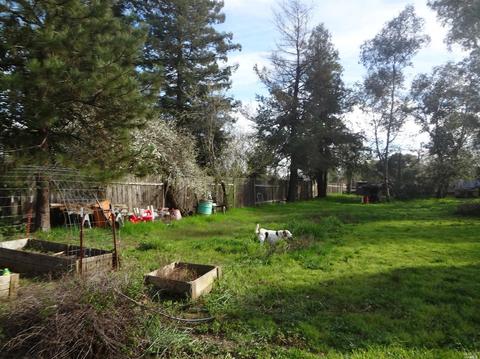389 Stutsman Rd, Ukiah, CA 95482 photo 21