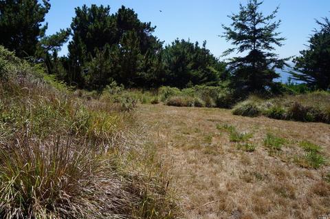 20960 Highway One Hwy, Jenner, CA 95450 photo 5