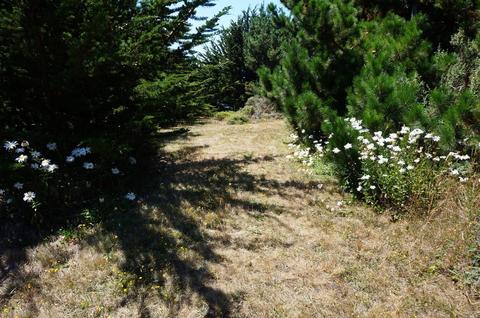 20960 Highway One Hwy, Jenner, CA 95450 photo 8