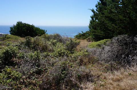 20960 Highway One Hwy, Jenner, CA 95450 photo 7