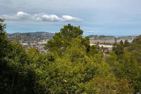 44 Alta Way, Corte Madera, CA 94925 photo 14