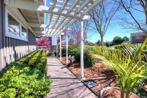 204 Ricardo Rd, Mill Valley, CA 94941 photo 31