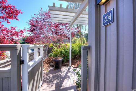 204 Ricardo Rd, Mill Valley, CA 94941 photo 3