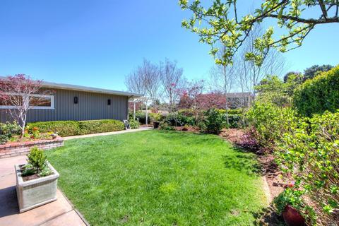 204 Ricardo Rd, Mill Valley, CA 94941 photo 34