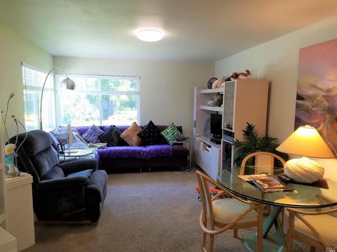 8362-8364 Mill Station Rd, Sebastopol, CA 95472 photo 7