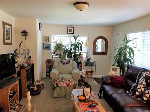 8362-8364 Mill Station Rd, Sebastopol, CA 95472 photo 17