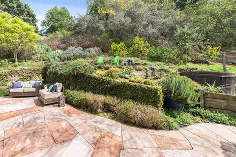 351 Loring Ave, Mill Valley, CA 94941 photo 11