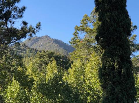 720 Lovell Ave, Mill Valley, CA 94941 photo 38
