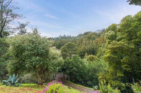 720 Lovell Ave, Mill Valley, CA 94941 photo 34