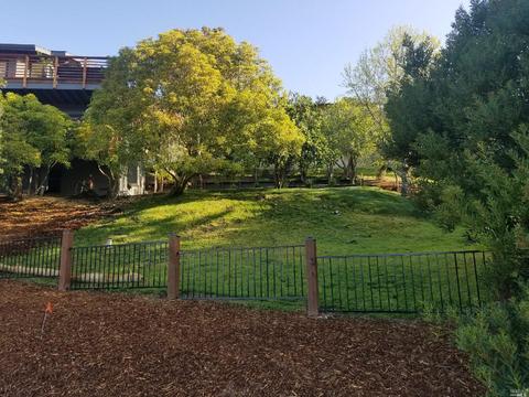 55 Geldert Dr, Tiburon, CA 94920 photo 35