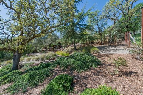755 Michael Dr, Sonoma, CA 95476 photo 28