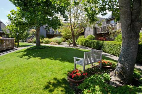 753 Miller Ave, Mill Valley, CA 94941 photo 18