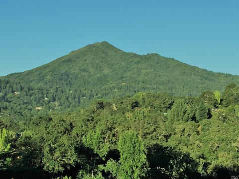 11 Mann Dr, Kentfield, CA 94904 photo 25