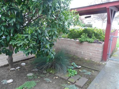 1713 Minnesota St, Fairfield, CA 94533 photo 4