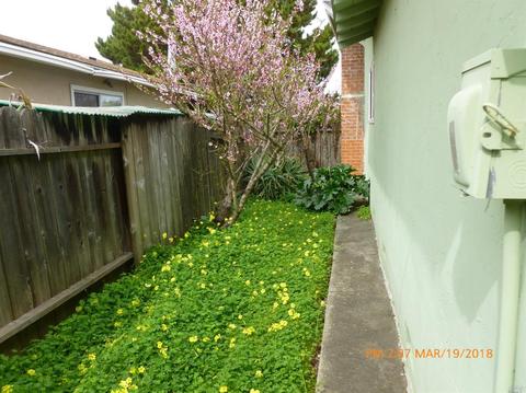439 Ladera Dr, Vallejo, CA 94591 photo 20