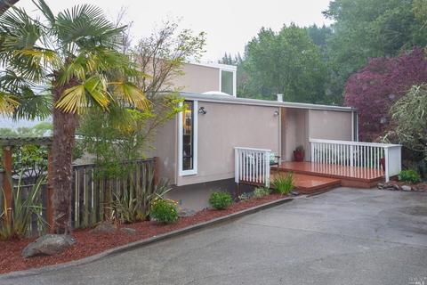 301 Ashton Ln, Mill Valley, CA 94941 photo 25