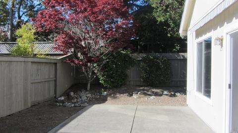 9249 Si Oliver Way, Windsor, CA 95492 photo 7