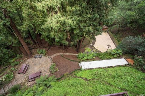 309 Magee Ave, Mill Valley, CA 94941 photo 22