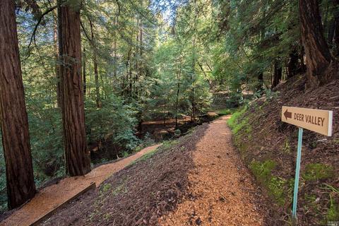 309 Magee Ave, Mill Valley, CA 94941 photo 24