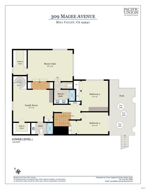 309 Magee Ave, Mill Valley, CA 94941 photo 26